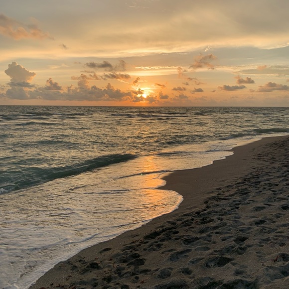 Meet your Posher, Leda - Picture 4 of 5